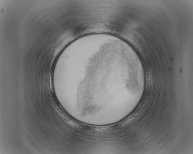 X0000068851274200605261656