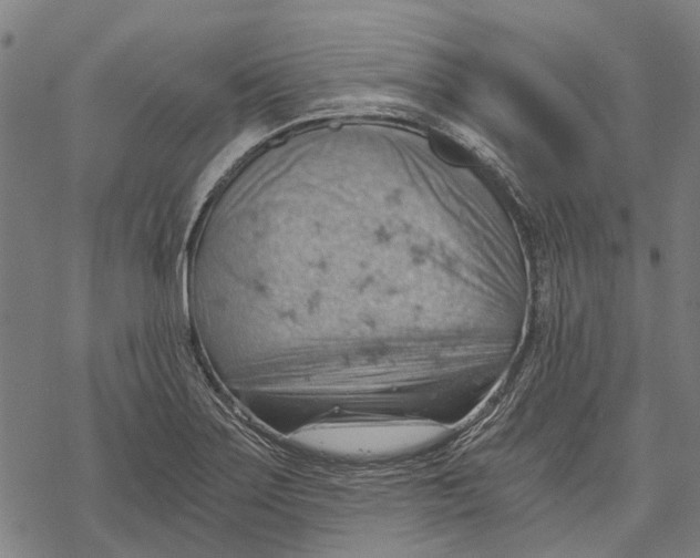 X0000068851275200605261656