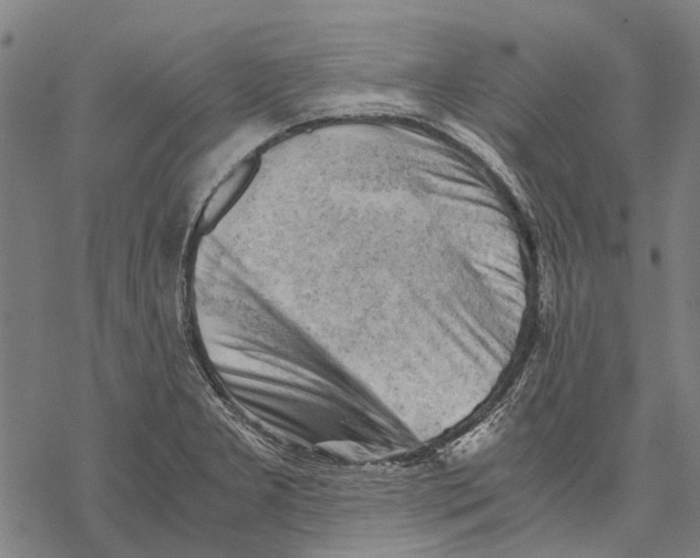 X0000068851277200605261656