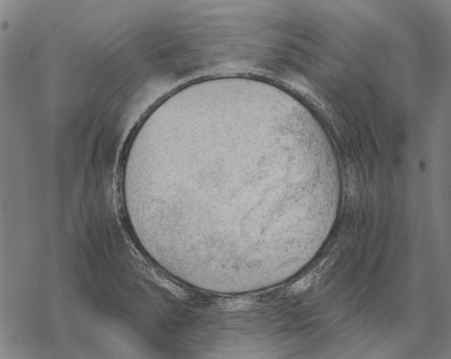 X0000068851278200605261656