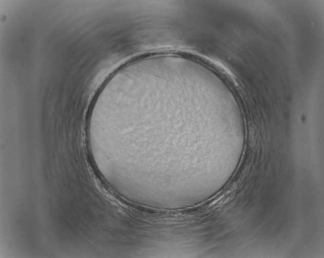 X0000068851279200605261656