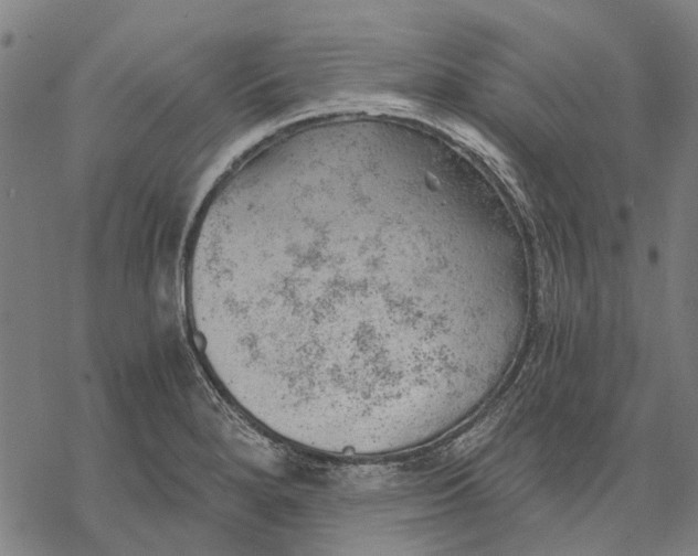 X0000068851280200605261656