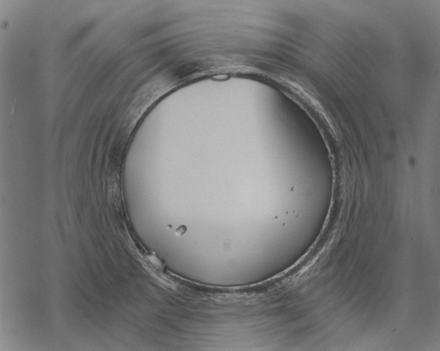 X0000068851281200605261656