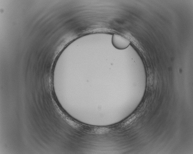 X0000068851282200605261656