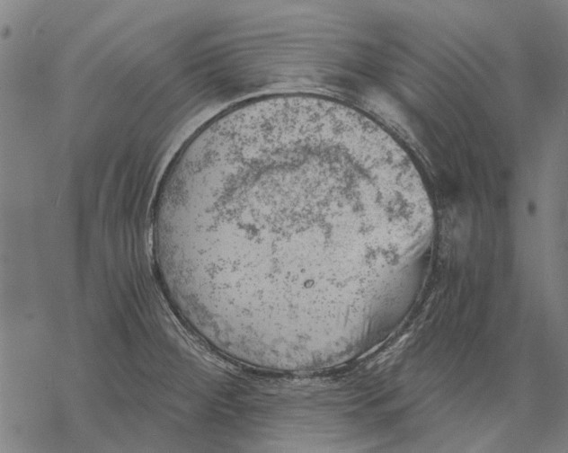 X0000068851284200605261656