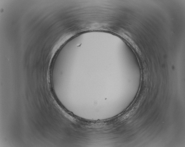 X0000068851285200605261656