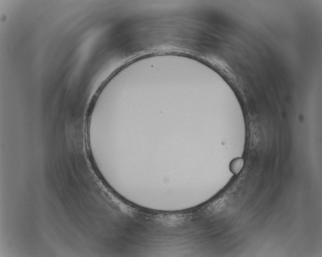 X0000068851286200605261656