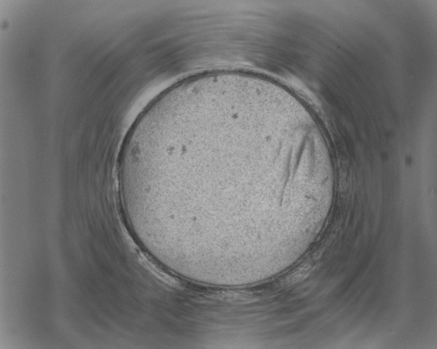 X0000068851287200605261656