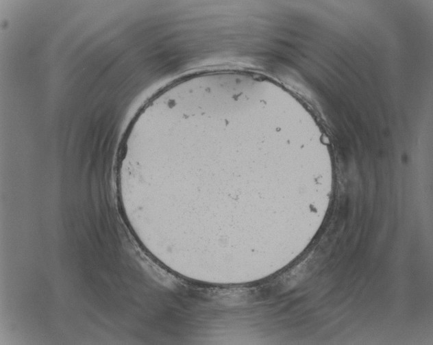 X0000068851288200605261656