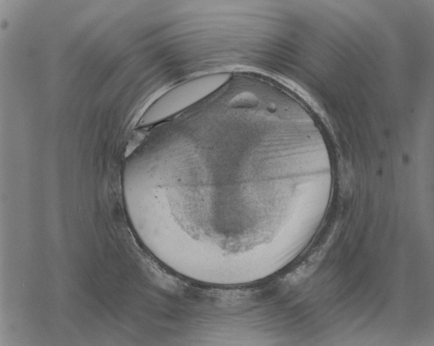 X0000068851289200605261656