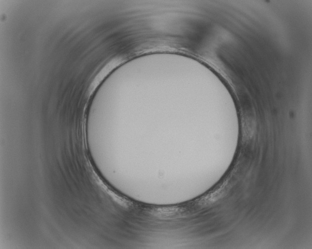 X0000068851290200605261656