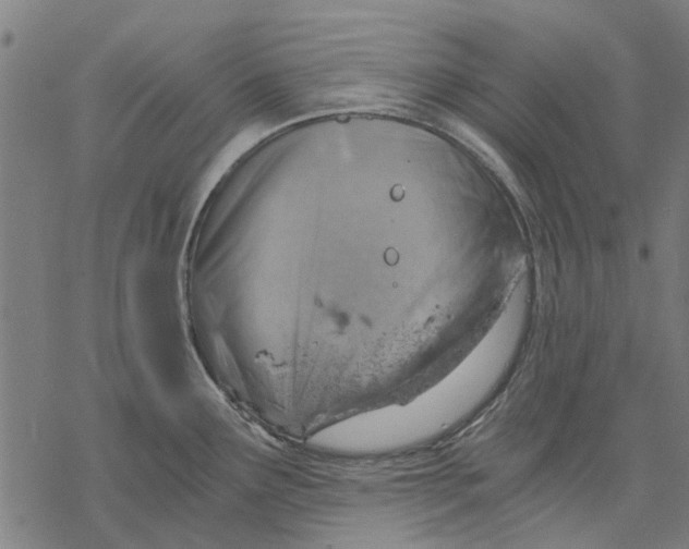 X0000068851291200605261656