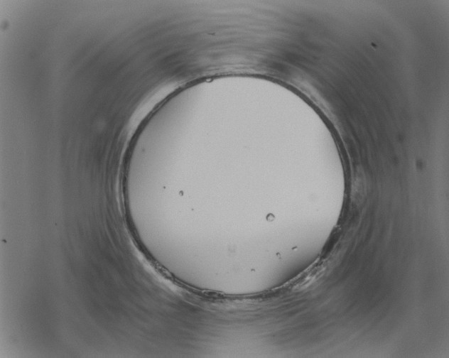 X0000068851293200605261656