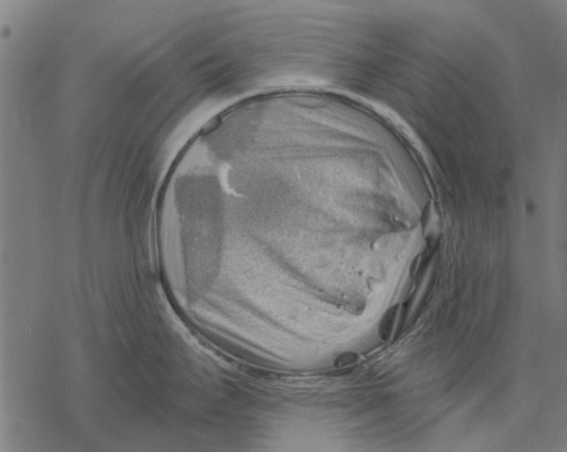 X0000068851295200605261656