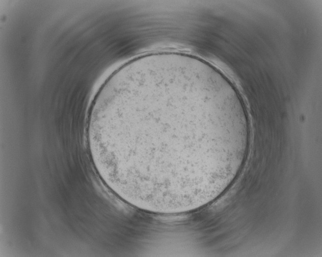 X0000068851296200605261656