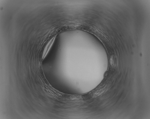 X0000068851299200605261655