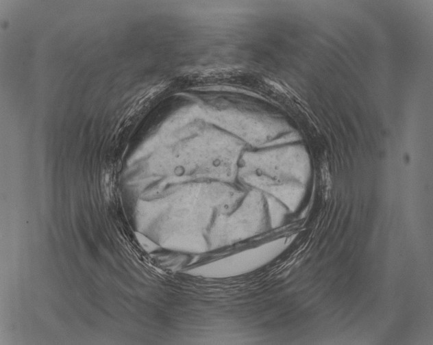 X0000068851300200605261655