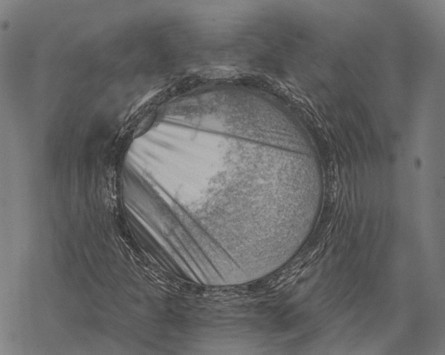 X0000068851301200605261655