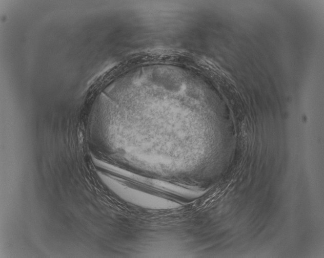 X0000068851302200605261655