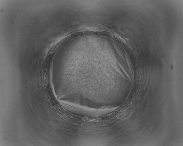 X0000068851303200605261655