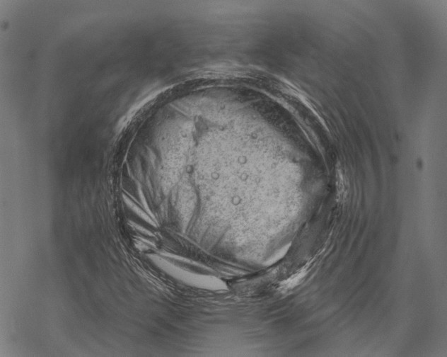 X0000068851304200605261655