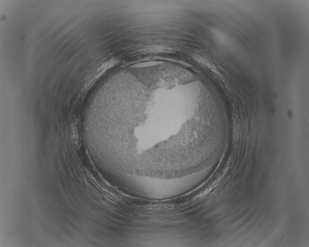 X0000068851305200605261655