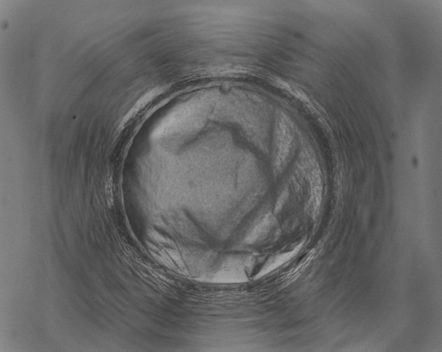 X0000068851306200605261655