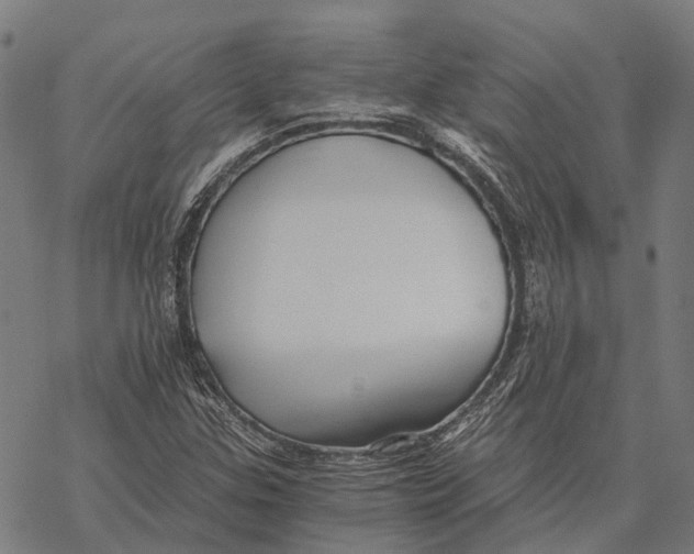 X0000068851307200605261655