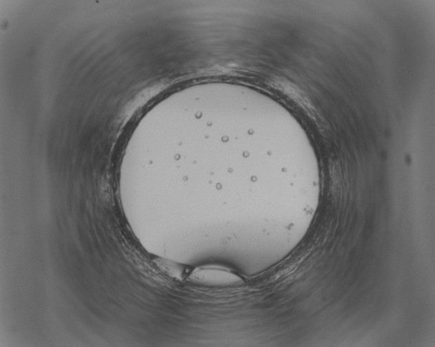 X0000068851308200605261655