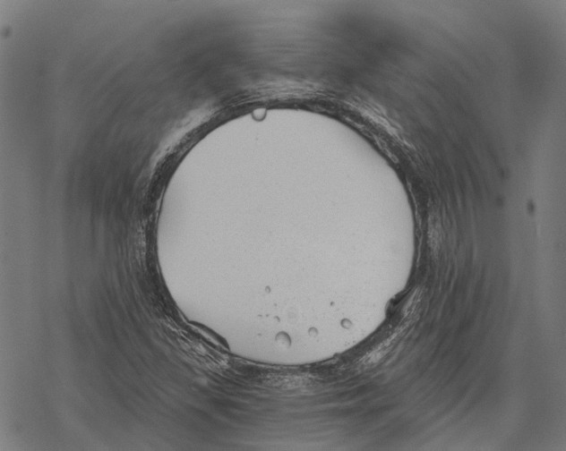 X0000068851309200605261655