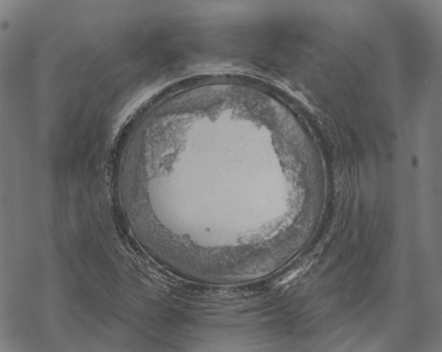 X0000068851311200605261655