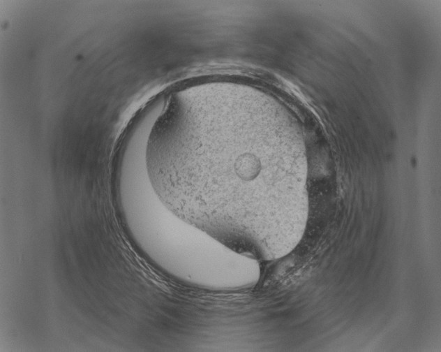 X0000068851312200605261655