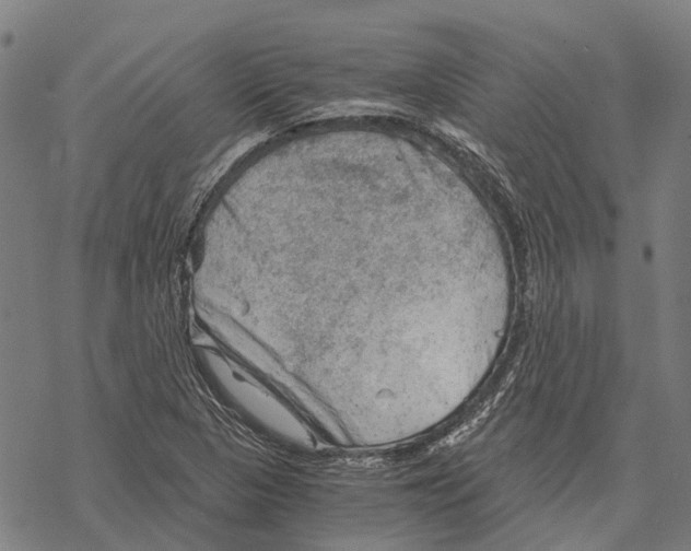 X0000068851313200605261655