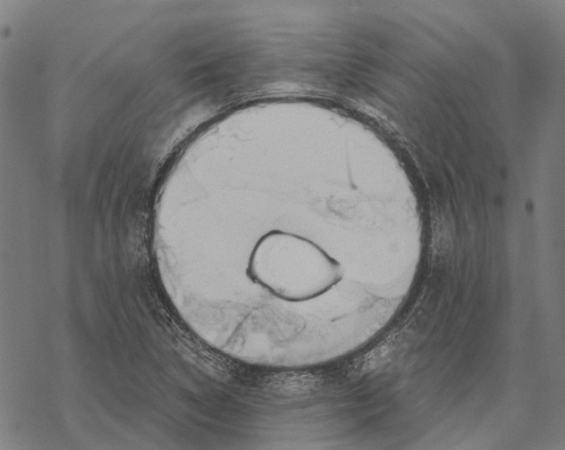 X0000068851314200605261655