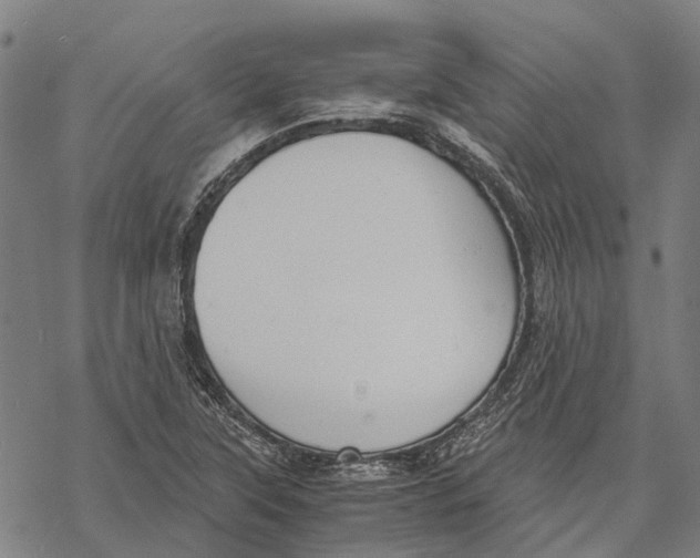 X0000068851315200605261655