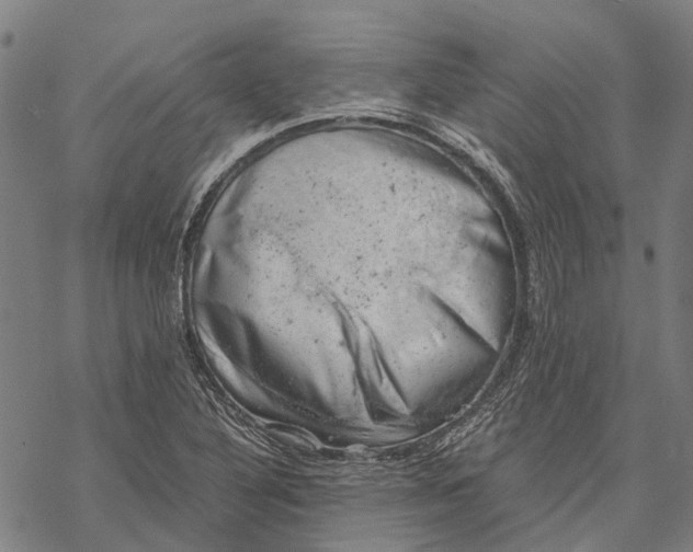 X0000068851316200605261655