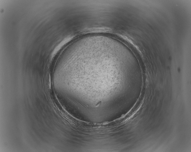 X0000068851317200605261655