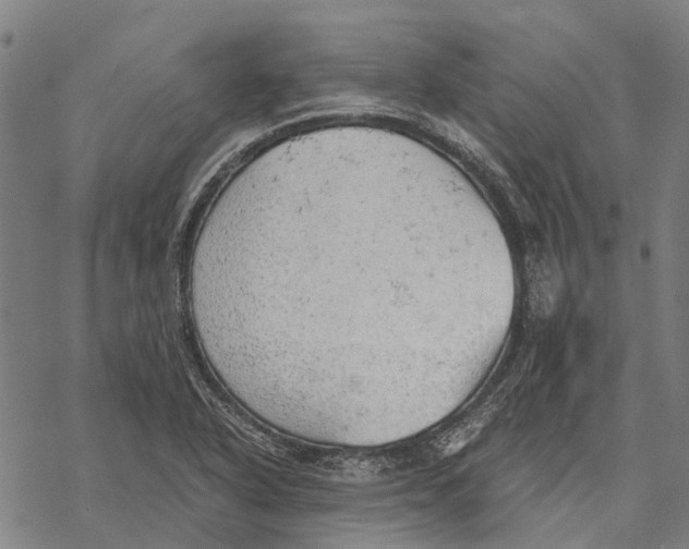 X0000068851318200605261655