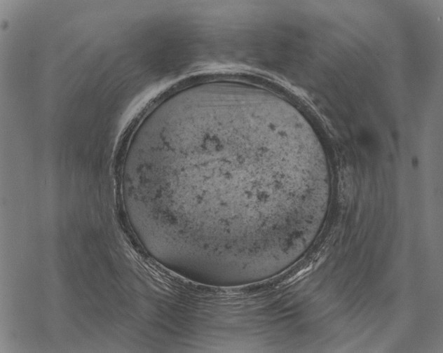 X0000068851319200605261655