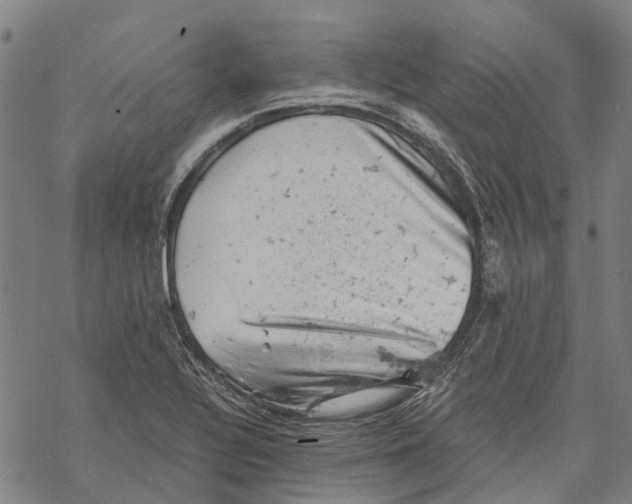 X0000068851320200605261655