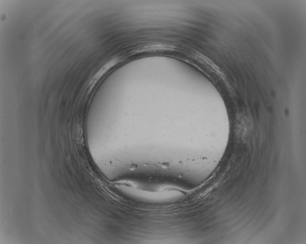 X0000068851321200605261656