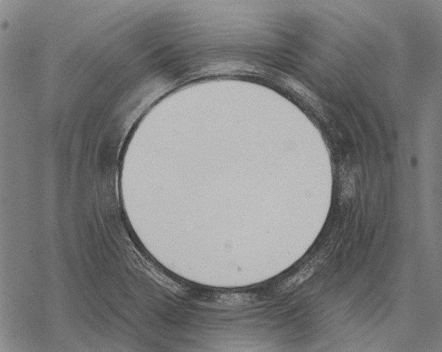 X0000068851322200605261656