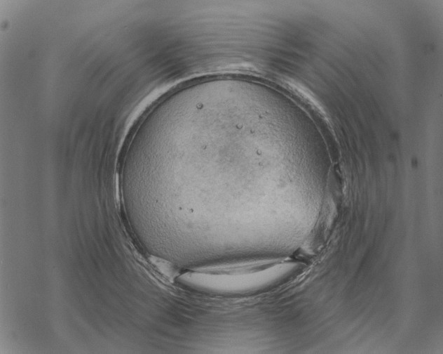 X0000068851324200605261656