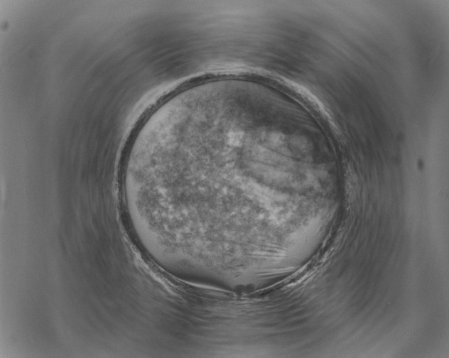 X0000068851327200605261656