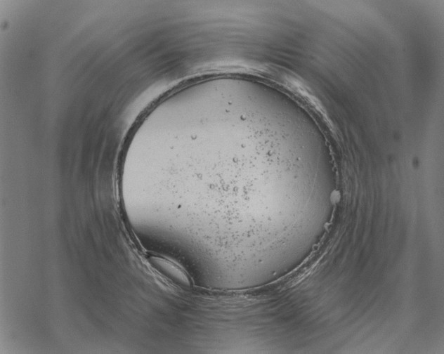 X0000068851328200605261656