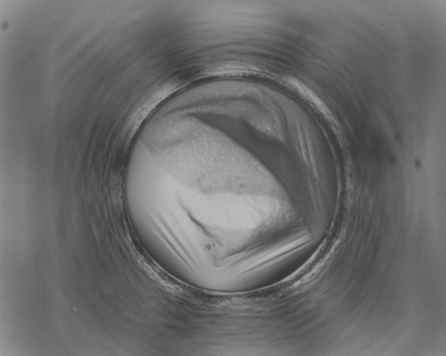 X0000068851329200605261656