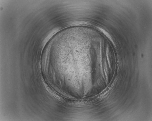 X0000068851330200605261656