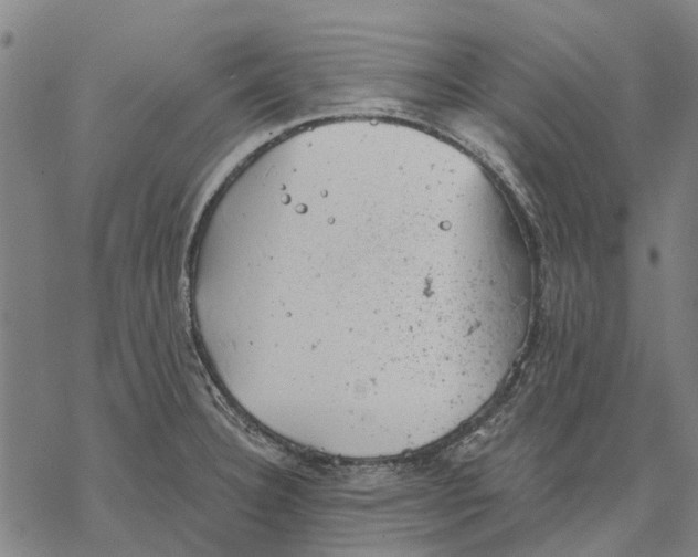 X0000068851332200605261656