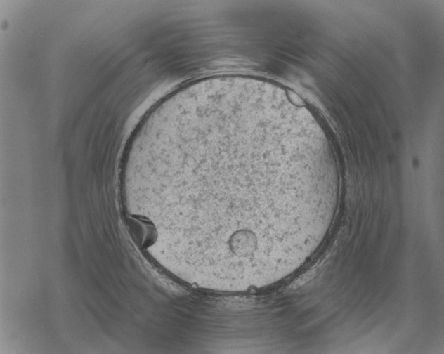 X0000068851333200605261656