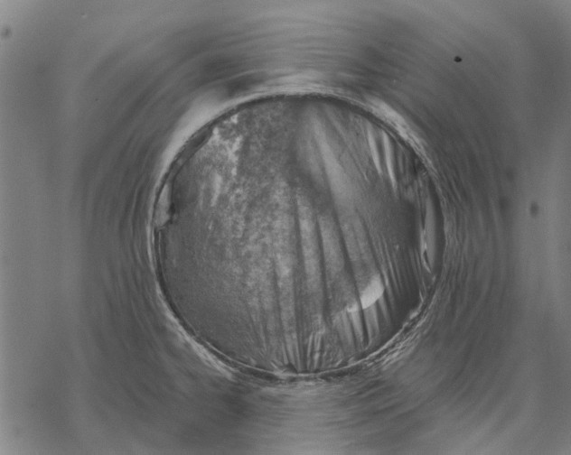 X0000068851334200605261656